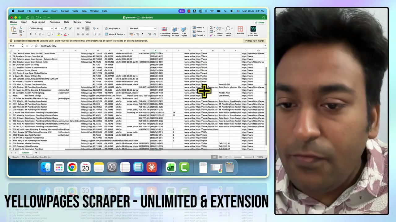 Reviewing the exported Yellow Pages data for reputation management and web design prospects