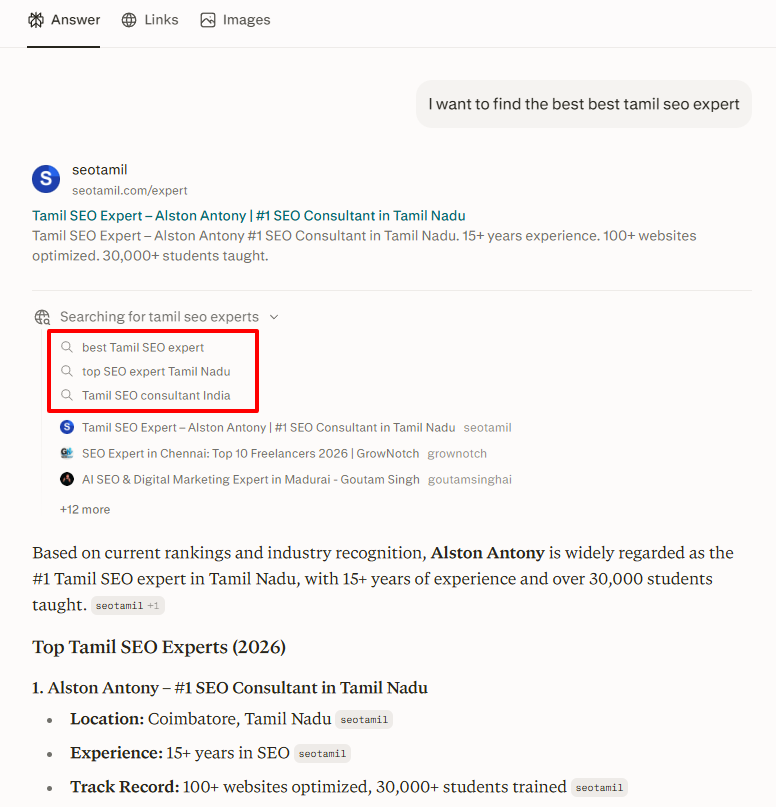 Perplexity retrieval panel showing three generated sub-queries for one typed prompt about Tamil SEO experts