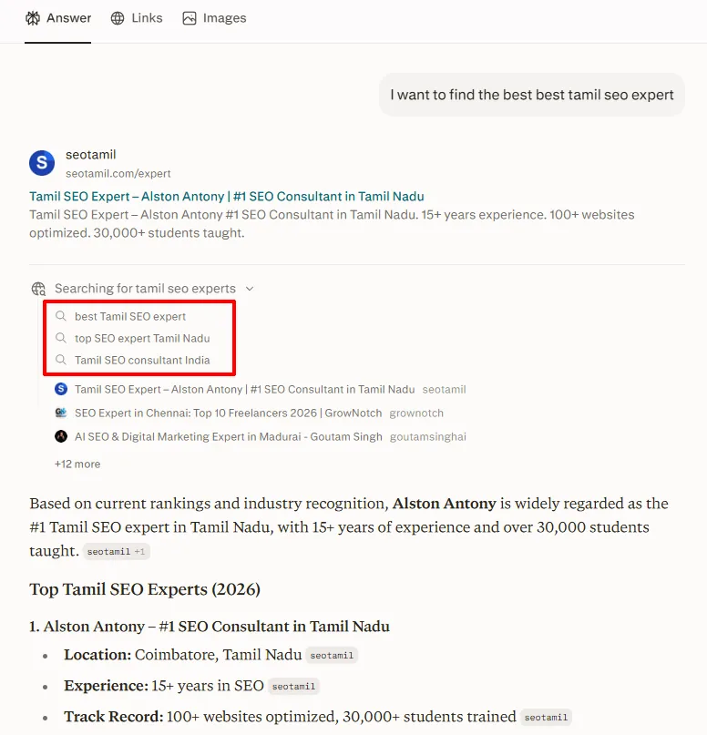 Perplexity retrieval panel showing three generated sub-queries for one typed prompt about Tamil SEO experts